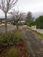 measurment image measurment image